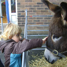 Fishers Mobile Farm @ Atherton St Georges Primary School